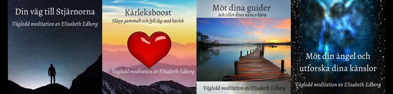 Webb-Shop – villkor
